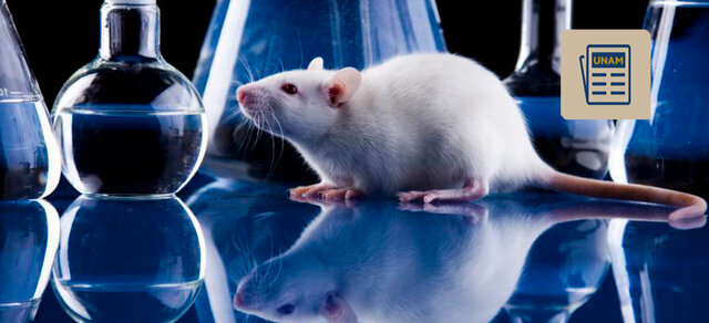 Experimentos con los animales (contextualización)