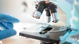 Timeline: Siete avances científicos desde 1895