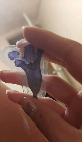 Esa flor me recuerda a ti