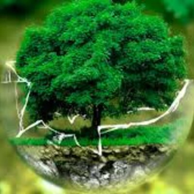 Timeline: Influencia de diversas actividades humana