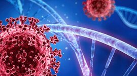 Timeline: Línea del tiempo del COVID-19 en Guatemala , grupo 3 Sociología General.