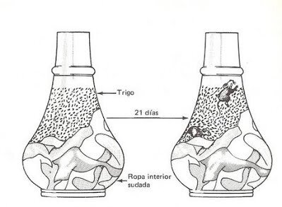 Generación espontanea