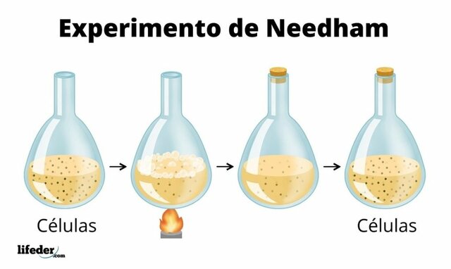 Experimento de Needham