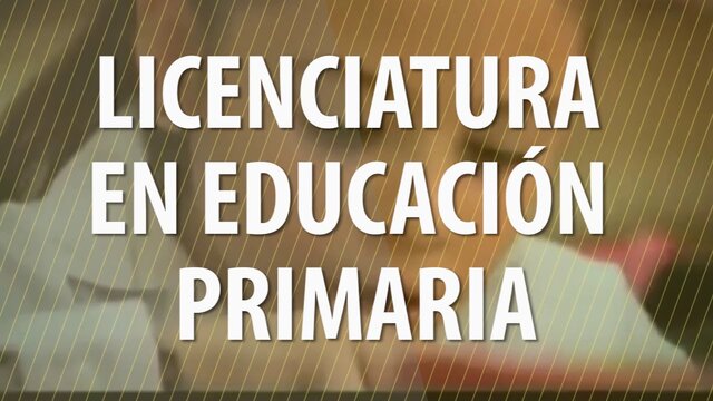 Creación del programa Licenciatura en Ed. básica primaria