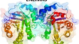 Timeline: Historia de las Enzimas