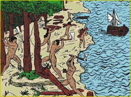 1531 a 1534 - Exploração Pau Brasil