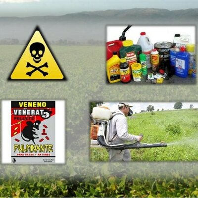 Timeline: línea de tiempo de insecticidas