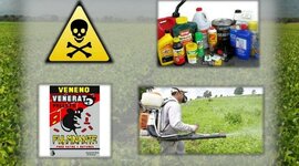 Timeline: línea de tiempo de insecticidas