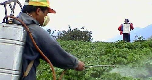 Compuestos Organoclorados