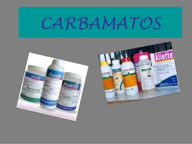 Insecticidas Carbonatos