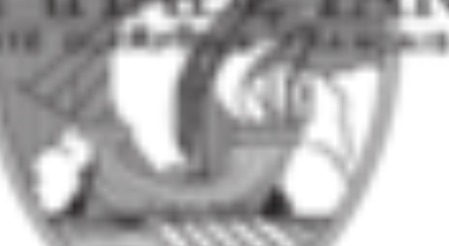 Start of the 1924 Olympics