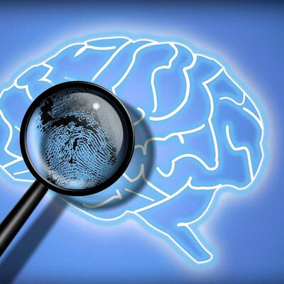 Timeline: evolución de las diferentes teorías de la clasificación de la mente Criminal.