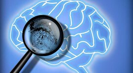 Timeline: evolución de las diferentes teorías de la clasificación de la mente Criminal.