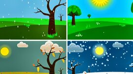 Timeline: Estaciones del año