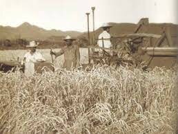 Plan Agricola de Emergencia