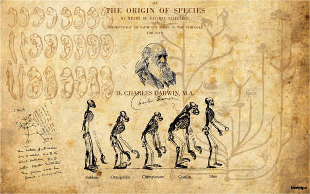El origen de las especies publicación