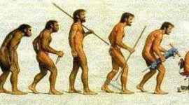 Timeline: Posturas de la evolución