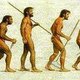 Evolucion dela postura