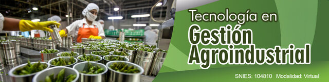 CREACIÓN DE LA TECNOLOGIA EN GESTION AGROINDUSTRIAL(2015)