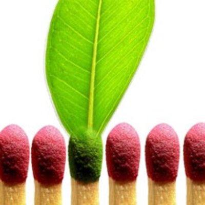 Timeline: naturaleza de la luz-Sofi