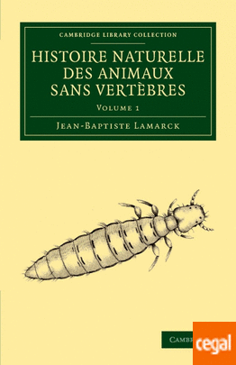 La historia de los animales sin vértebras