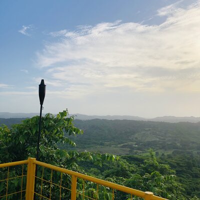 Timeline: more events important things in your life using the past simple with regular verbs and irregular,