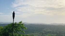 Timeline: more events important things in your life using the past simple with regular verbs and irregular,