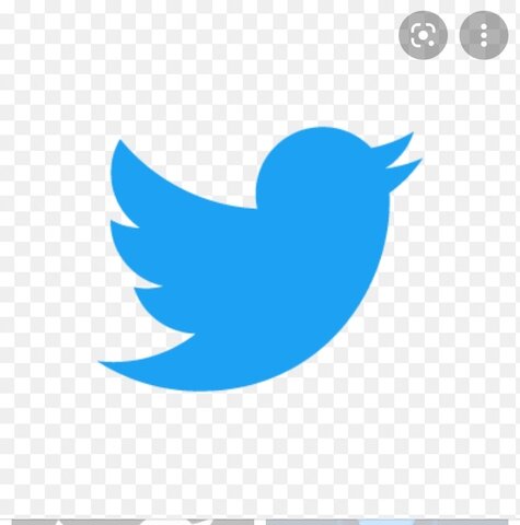 Creación de otras plataformas importantes