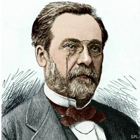 siglo XIX Louis Pasteur