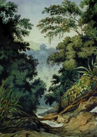 Trinidad y Tobago, St Ann's Valley-Margaret Mann