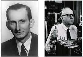 Hans Lineweaver y Dean Burk