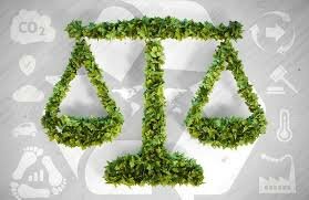 Ley del Medio Ambiente.