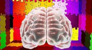 Trastornos del neurodesarrollo