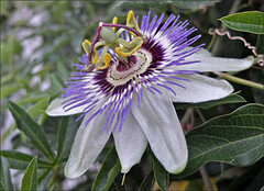 PARTILHA DE MOMENTOS POÉTICOS COM OS ALUNOS...