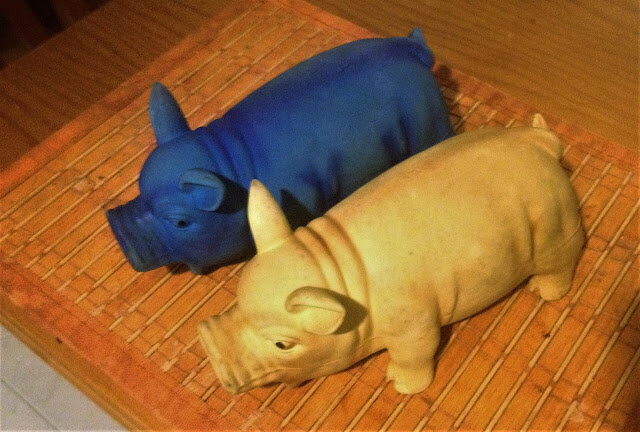 PORQUINHOS NO MOVIMENTO 14-20 E A LER+