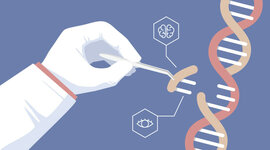 Timeline: PRINCIPIOS BIOETICOS EN LA INVESTIGACIÓN
