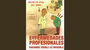 DECRETO 2566 DEL 2009