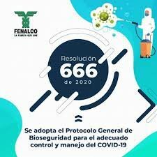 RESOLUCIÓN 666 DE 2020