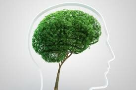 Conferencia de las Naciones Unidas sobre Medio Humano.