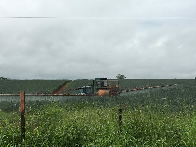 Ley orgánica del ambiente