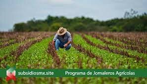 Programa de atención a Jornaleros Agrícolas