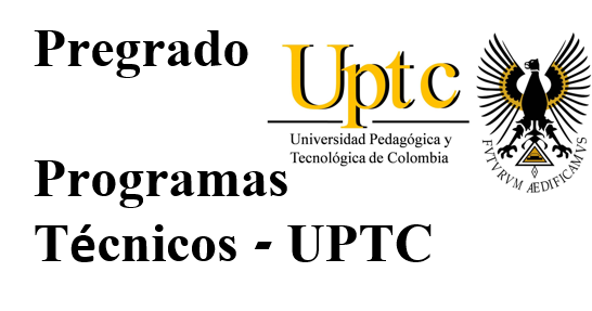 Programas Técnicos (pregrado)