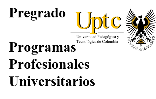 Programas profesionales universitarios (pregrado)