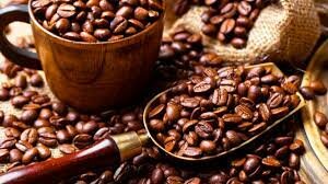 Café: Monocultivo y agroexportador