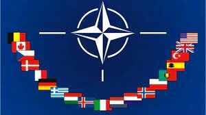 Organización del Tratado del Atlántico Norte (OTAN)