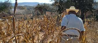 Impulsó una profunda reforma a la Constitución y a las leyes en materia agraria.