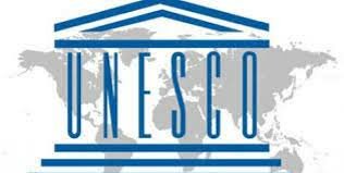 Estrategia de las Naciones Unidas para la inclusión de la discapacidad