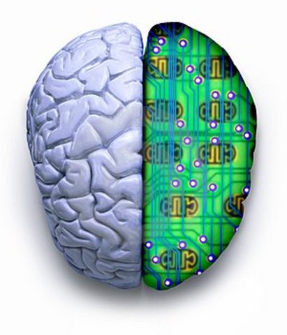 Psicología cognitiva