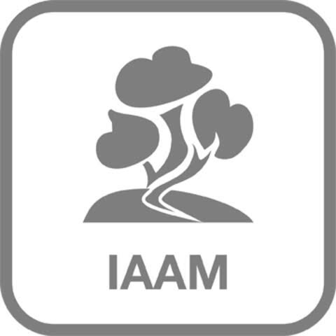 Instituto Para la atención de los adulos mayores en el Distrito Federal ( IAAM)