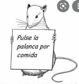 Nacimiento del modelo conductista